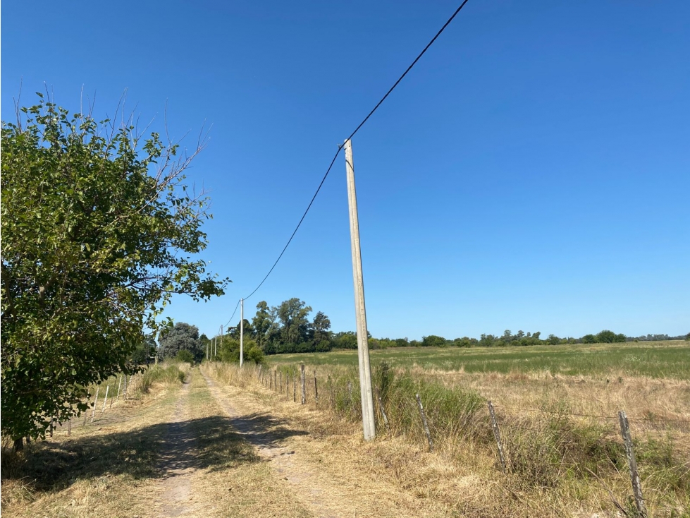 2 Parcelas agricolas de 5 has c/u en Venta, cercania ruta 6 - 3