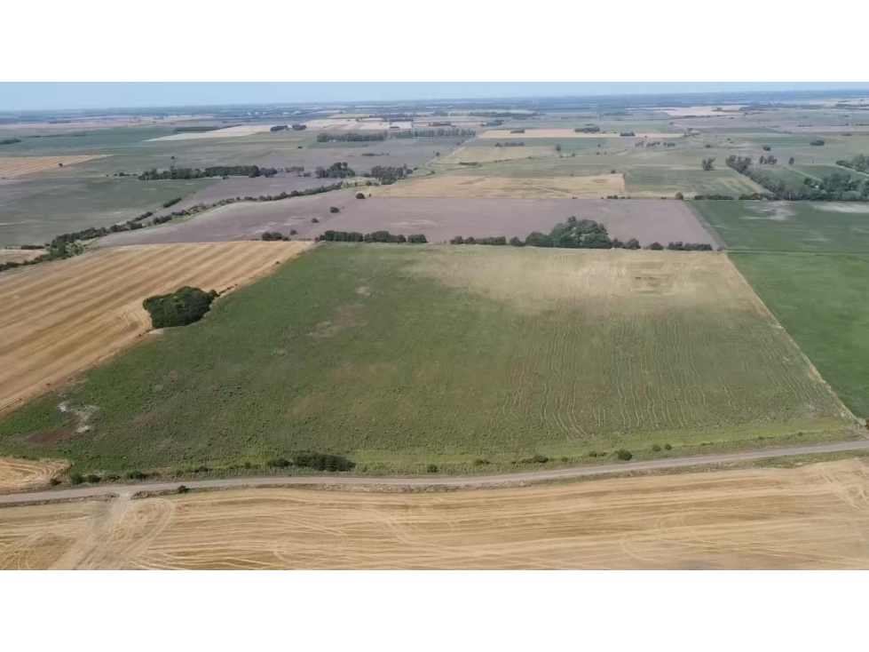 campo de 29 has agricolas en Venta en Villa Ruiz - 4