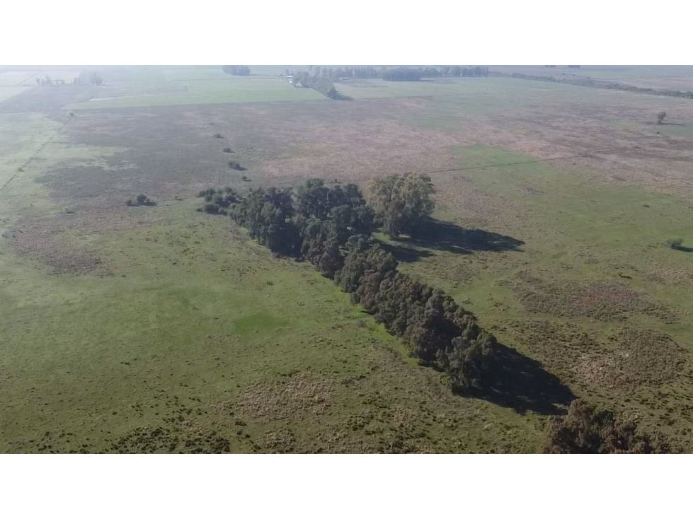 Campo de 52,6 has en venta cercano a plomer - Gral Las Heras - 2