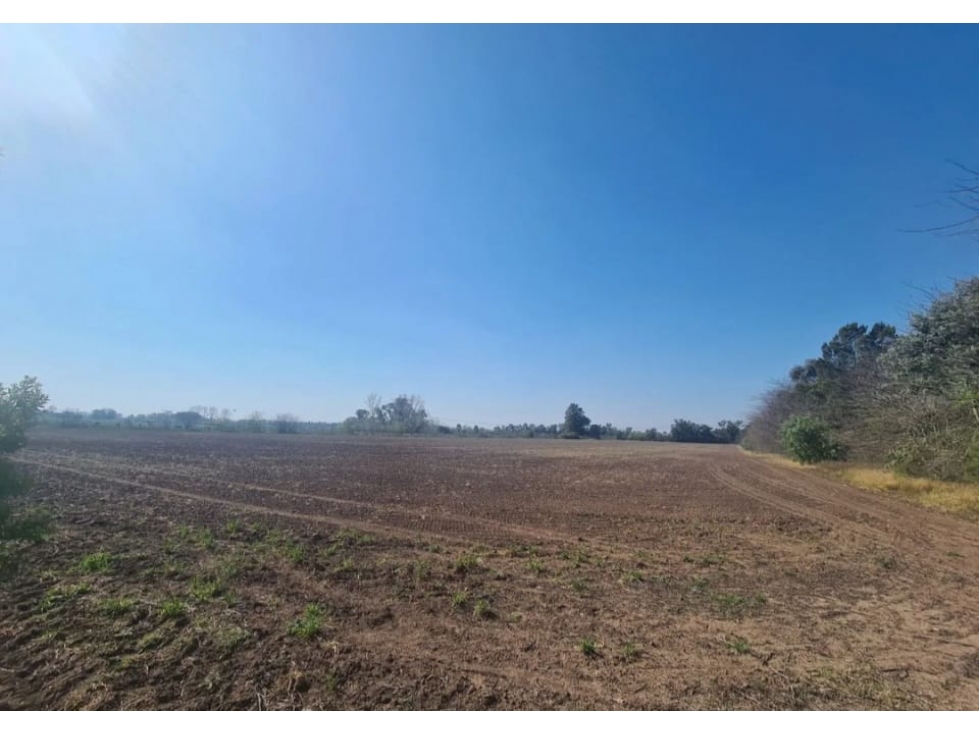 Campo 6,2 has agricolas a mts de la Ruta 6 - 1