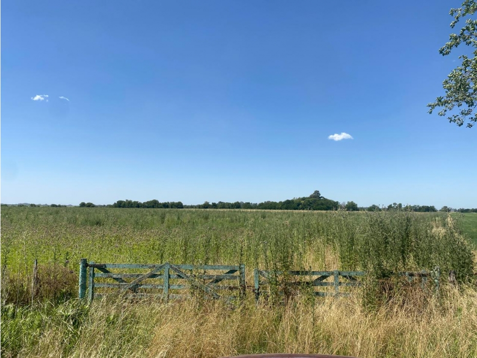campo de 29 has agricolas en Venta en Villa Ruiz - 6