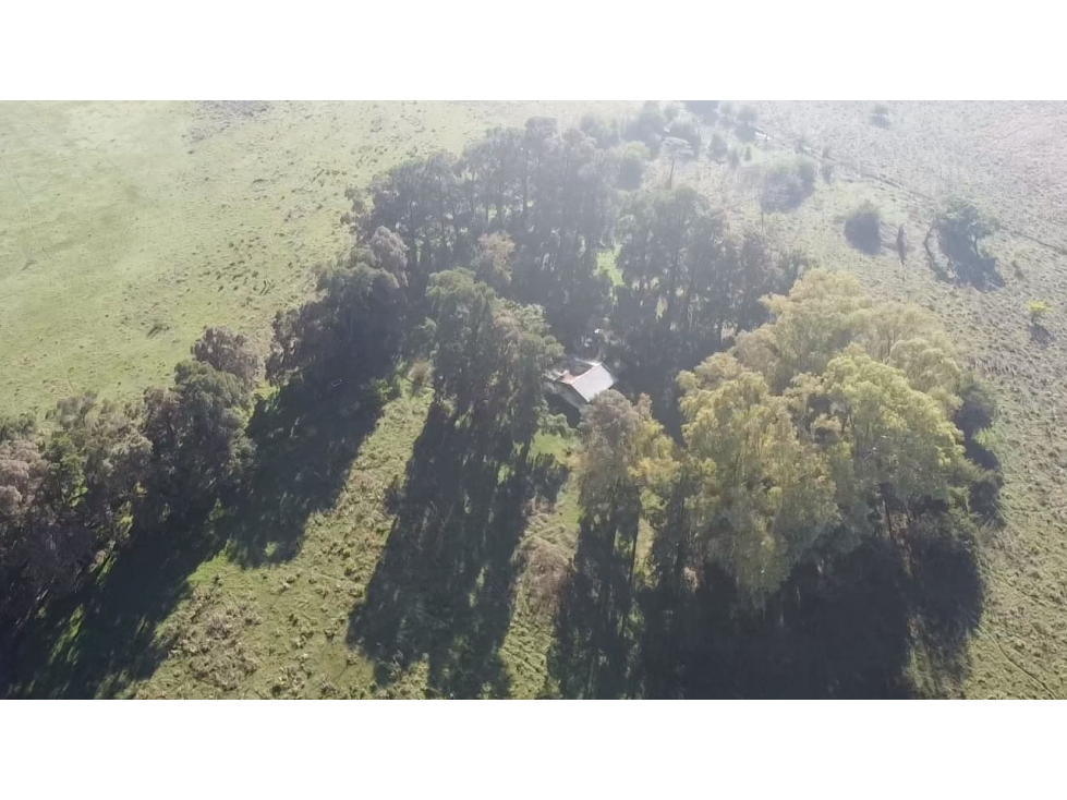 Campo de 52,6 has en venta cercano a plomer - Gral Las Heras - 3