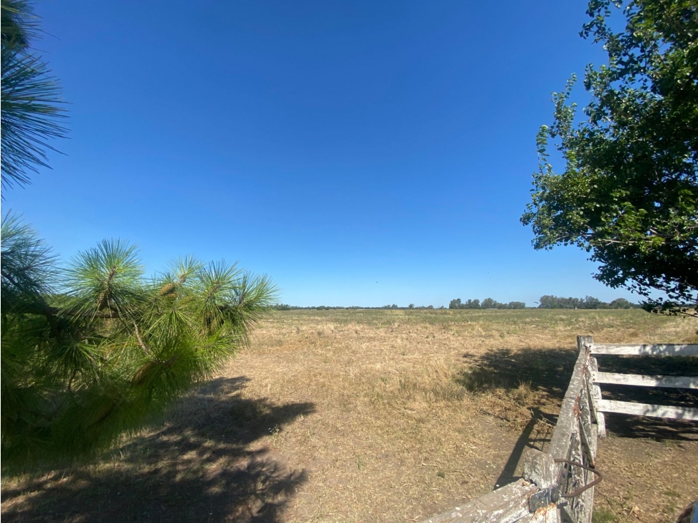 2 Parcelas agricolas de 5 has c/u en Venta, cercania ruta 6 - 2