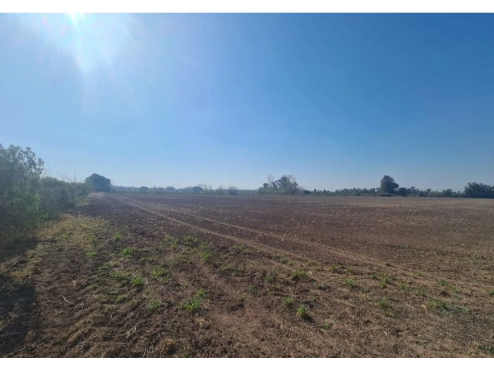 Campo 6,2 has agricolas a mts de la Ruta 6 - 2