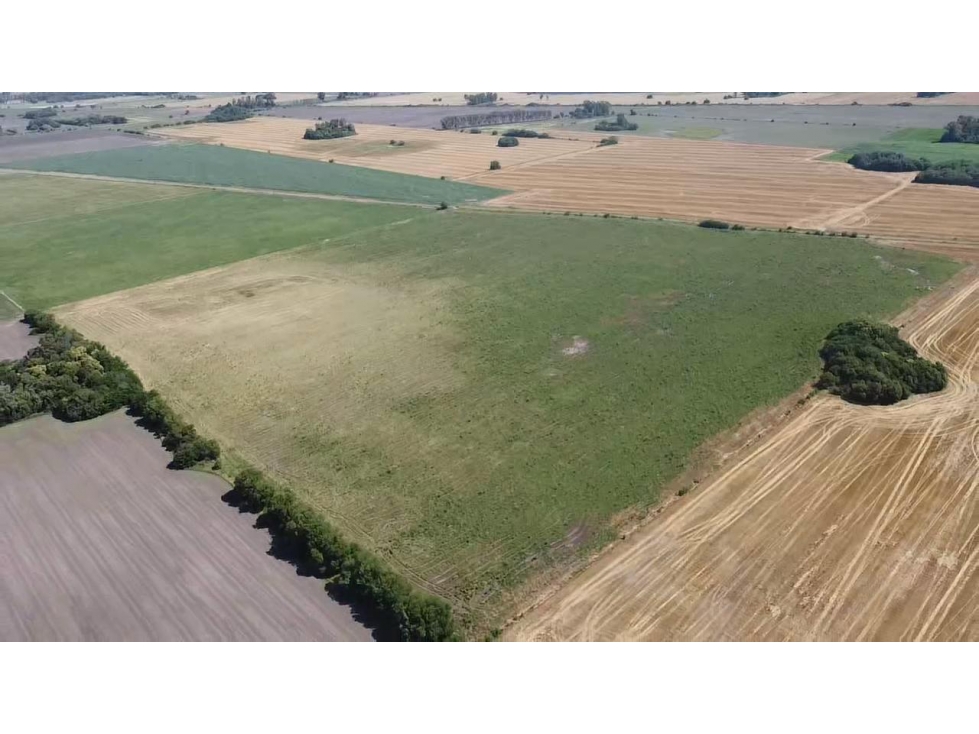 campo de 29 has agricolas en Venta en Villa Ruiz - 3