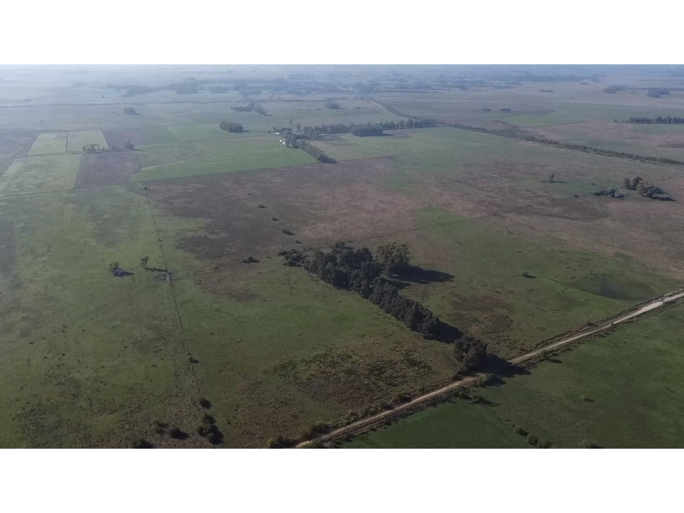 Campo de 52,6 has en venta cercano a plomer - Gral Las Heras - 1