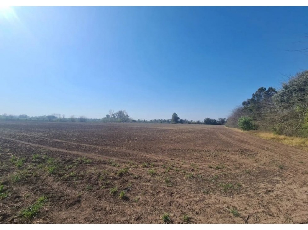 Campo 6,2 has agricolas a mts de la Ruta 6 - 3
