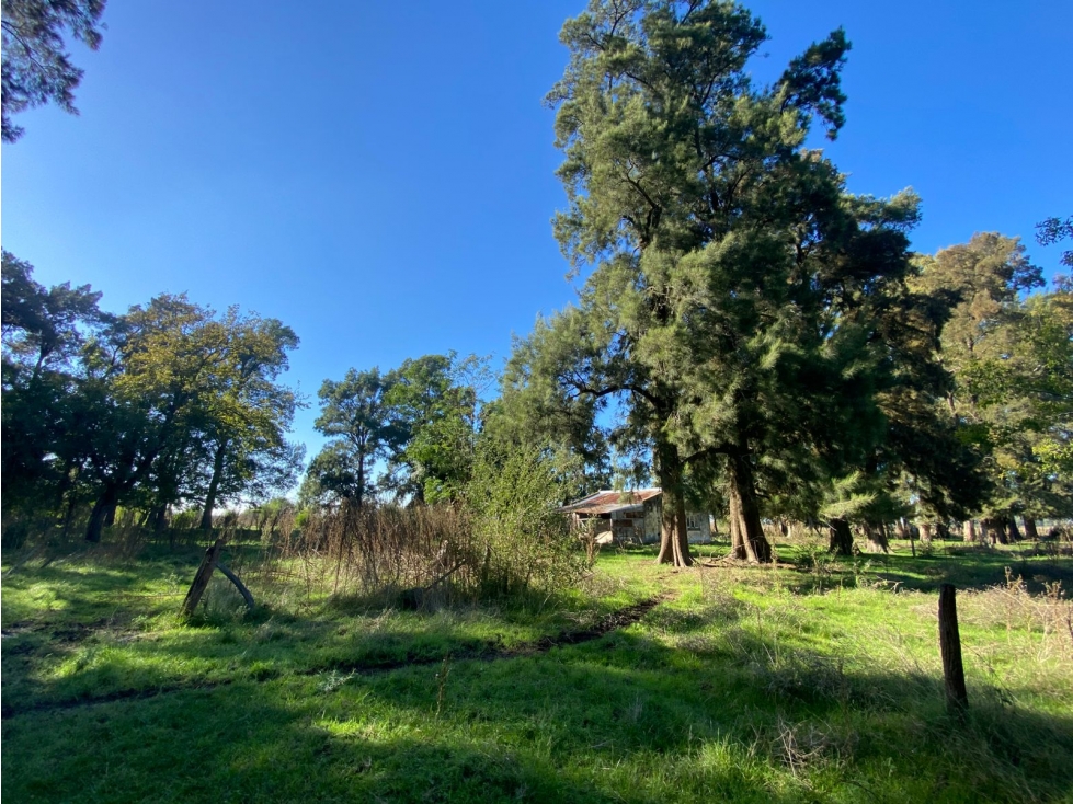 Campo de 52,6 has en venta cercano a plomer - Gral Las Heras - 6