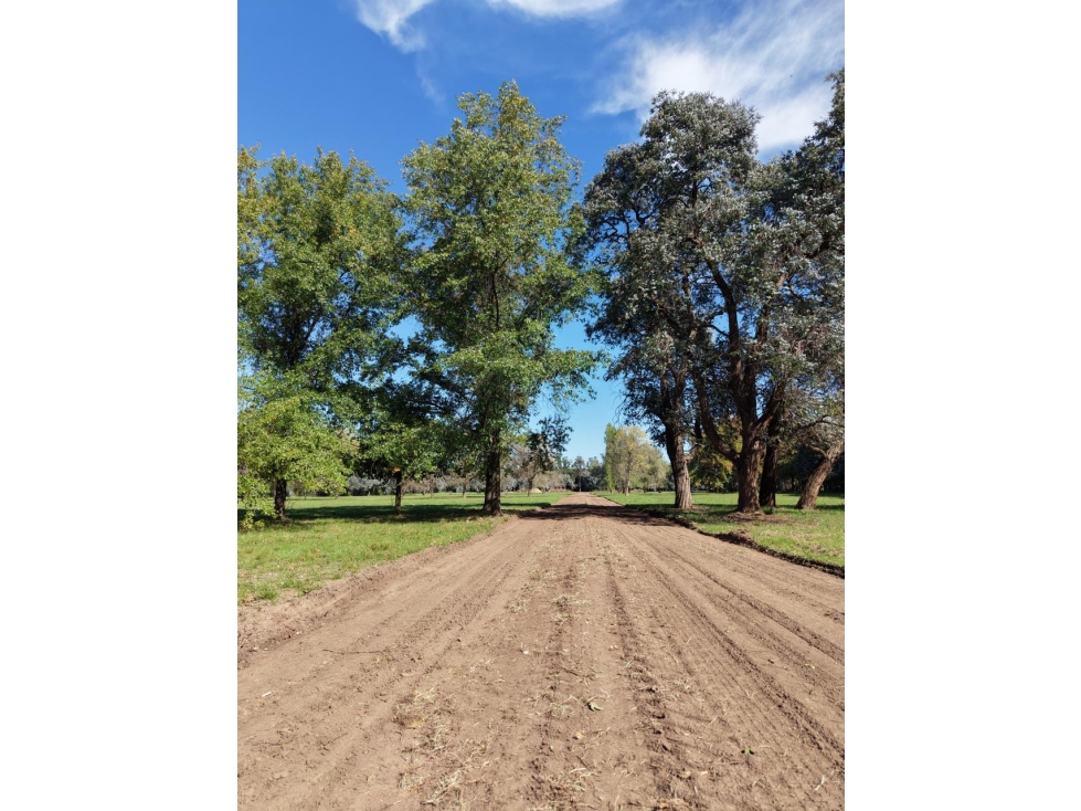 oportunidad de hermosos lotes en el barrio abierto LOS AROMOS - 5