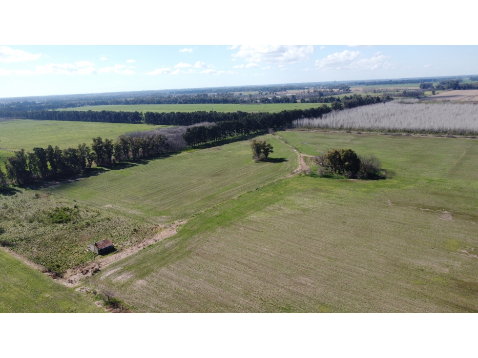 Campo 35 has agricolas en Jauregui - 2