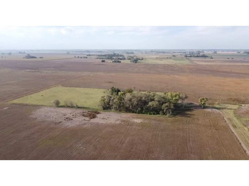 Campo 21 has en Venta con casa en carlos keen - 6