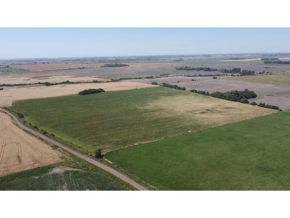campo de 29 has agricolas en Venta en Villa Ruiz - 5