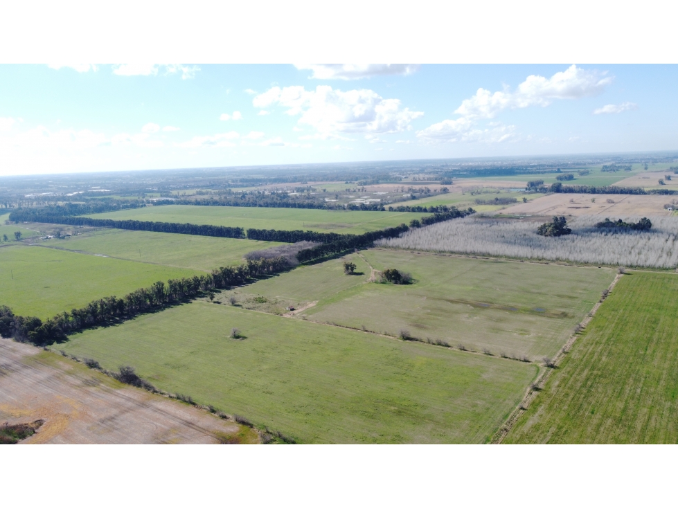 Campo 35 has agricolas en Jauregui - 3