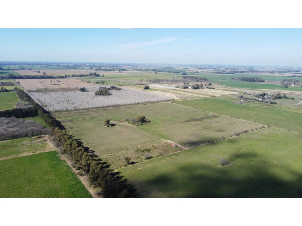 Campo 35 has agricolas en Jauregui - 4