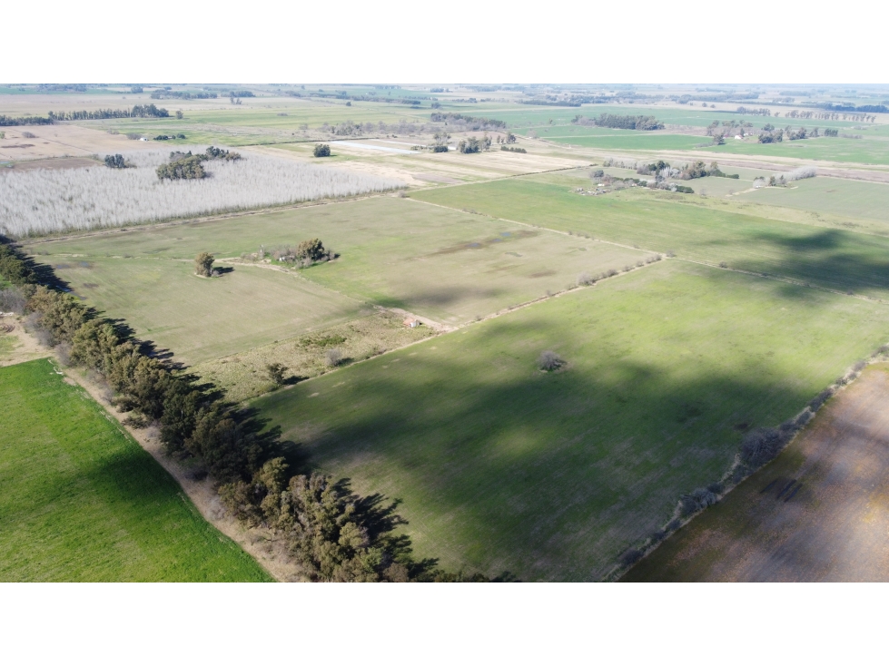 Campo 35 has agricolas en Jauregui - 5