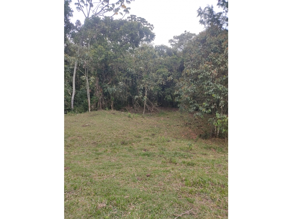 LOTE EN PARCELACION EN EL RETIRO A 15 MINUTOS DEL PARQUE — foto 6