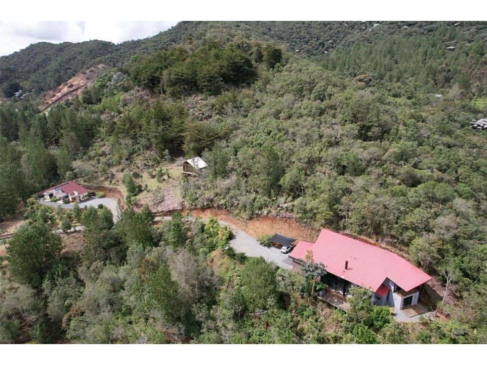 FINCA EN PARCELACION EN LA CEJA SECTOR YARUMO, DOS CASA Y UNA BODEGA — foto 4