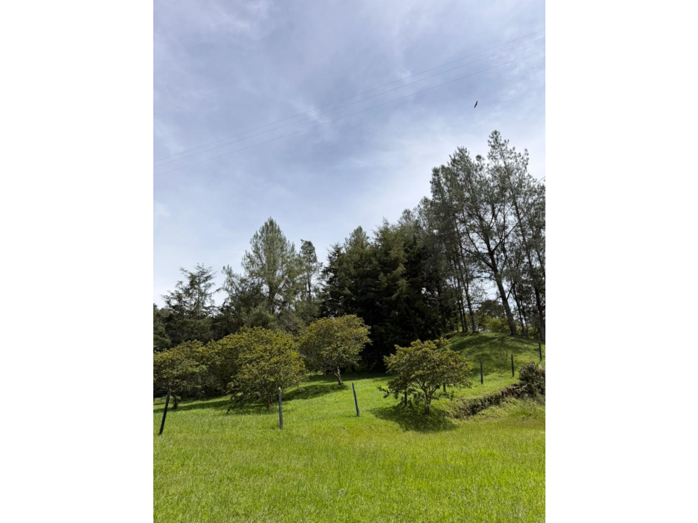 Venta lote 1 5000 m2 San Vicente