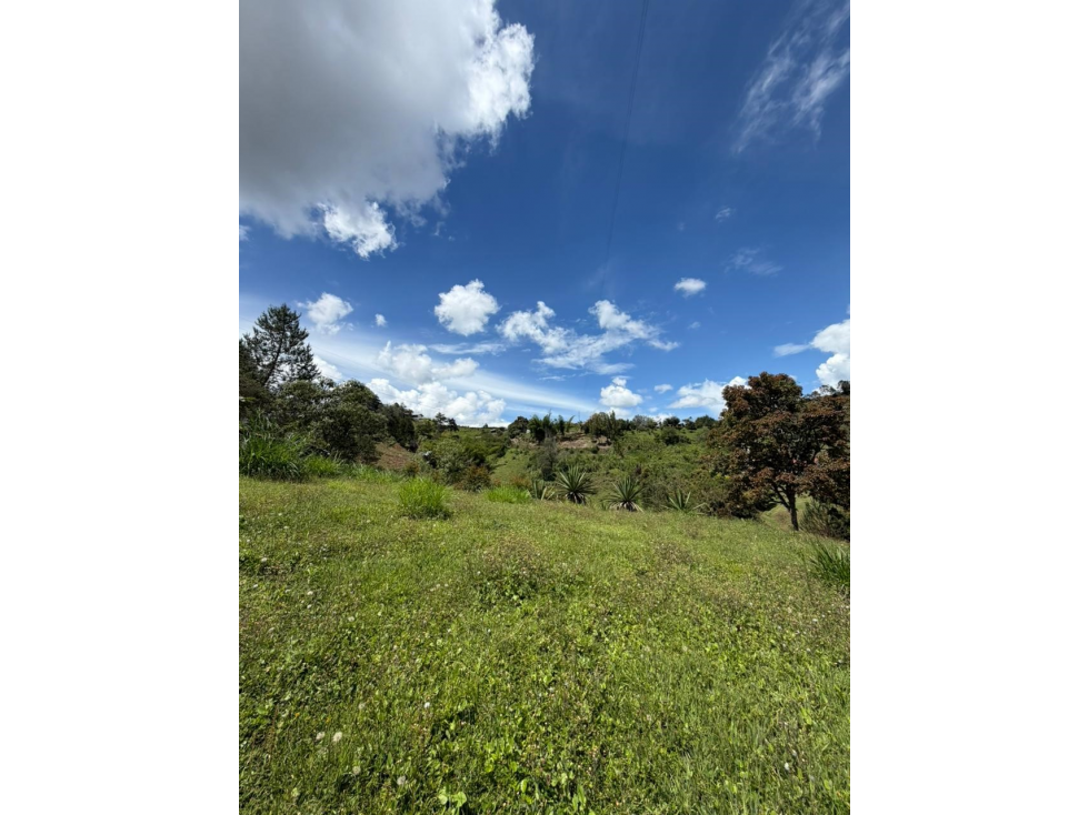 Venta lote 2 5000 m2 San Vicente