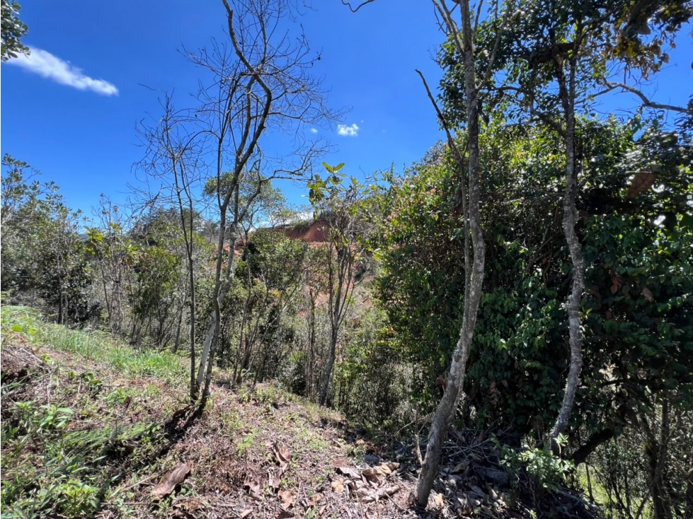 Venta Lote 15 — foto 4