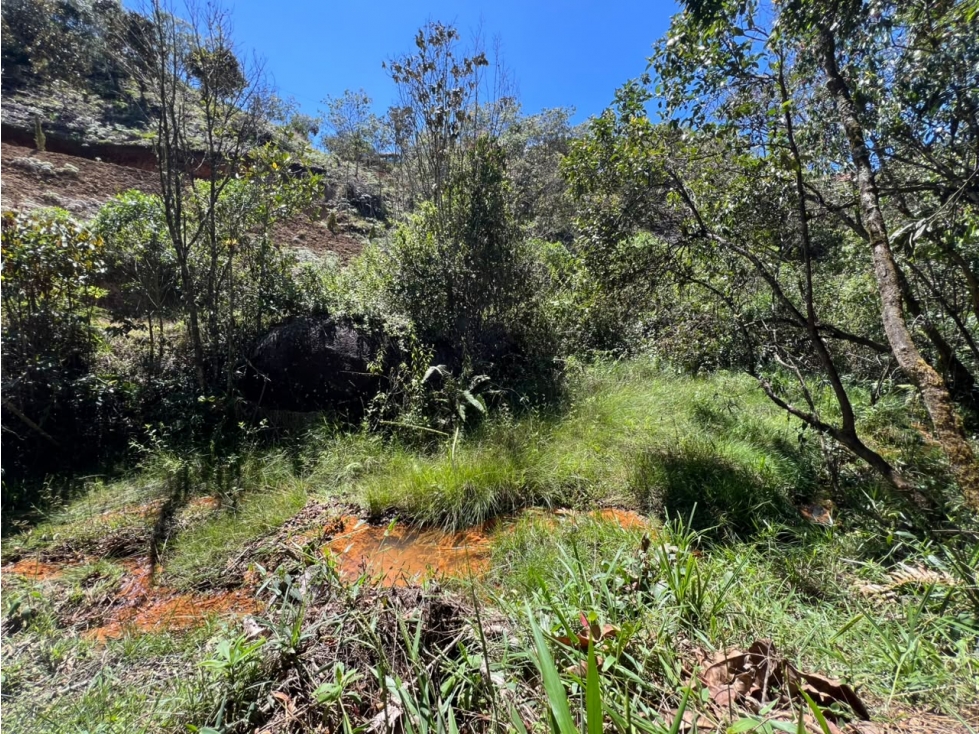 Venta Lote 15 — foto 5