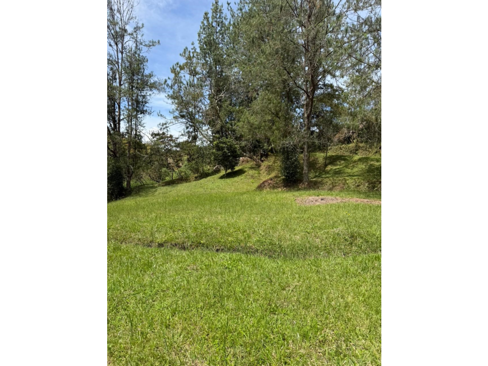 Venta hermoso lote de una hectárea en San Vicente — foto 5