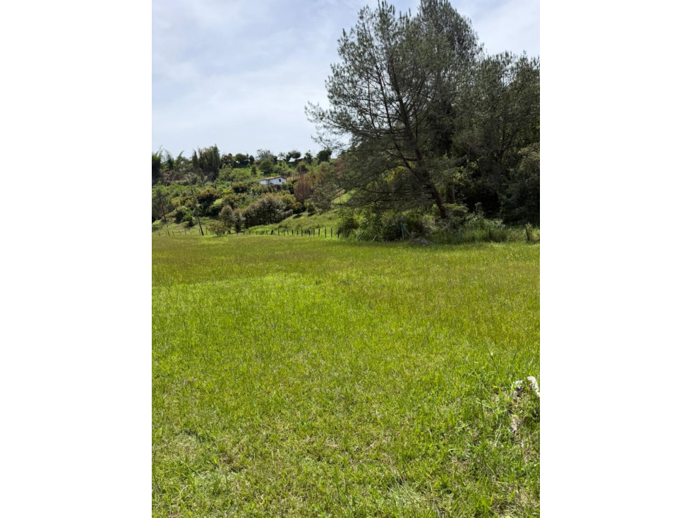 Venta hermoso lote de una hectárea en San Vicente — foto 6