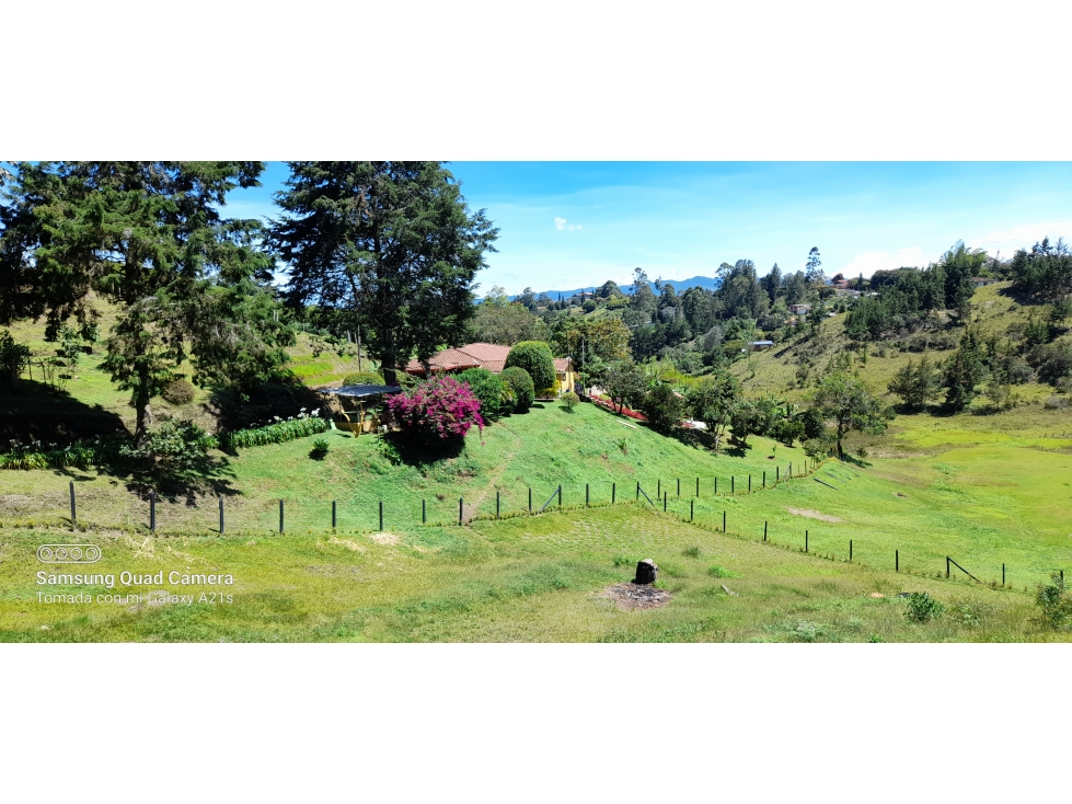 VENDO LOTE EN RIONEGRO VEREDA SANTA BARBARA — foto 4