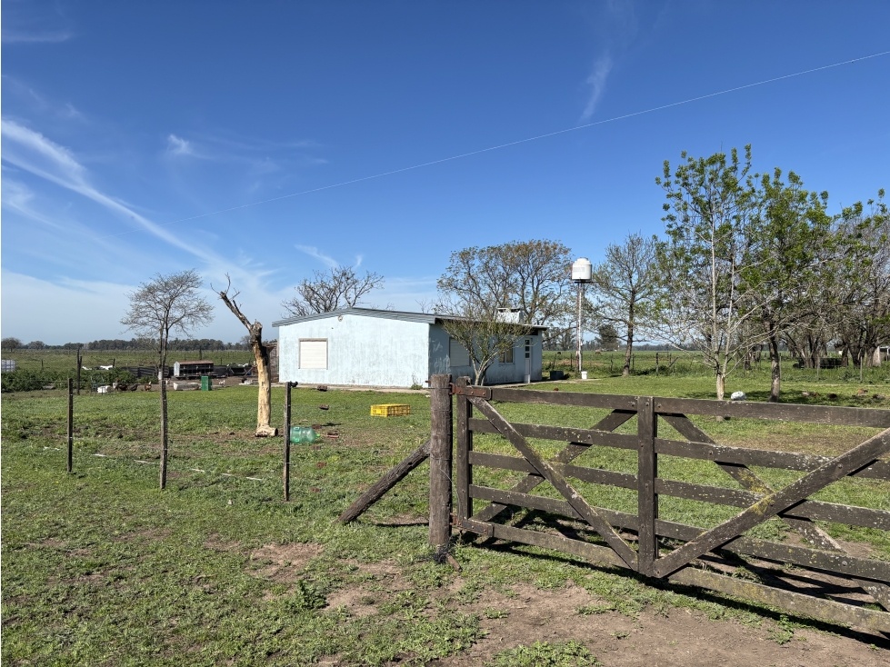 Campo sobre ruta 47- Luján - 2