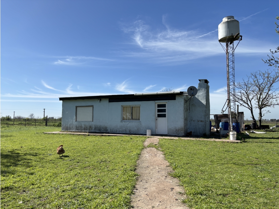 Campo sobre ruta 47- Luján - 4