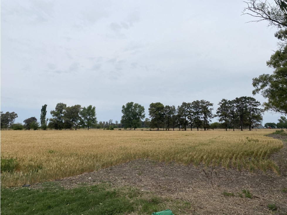 Campo en General Rodriguez - 3