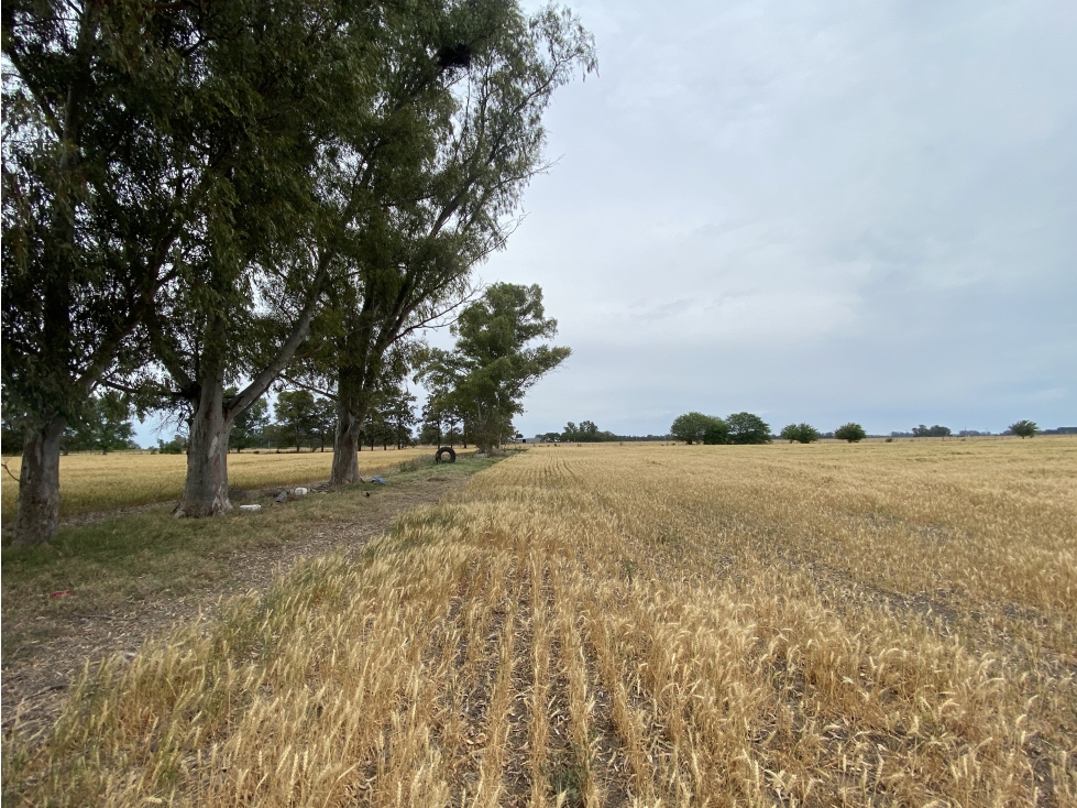 Campo en General Rodriguez - 4