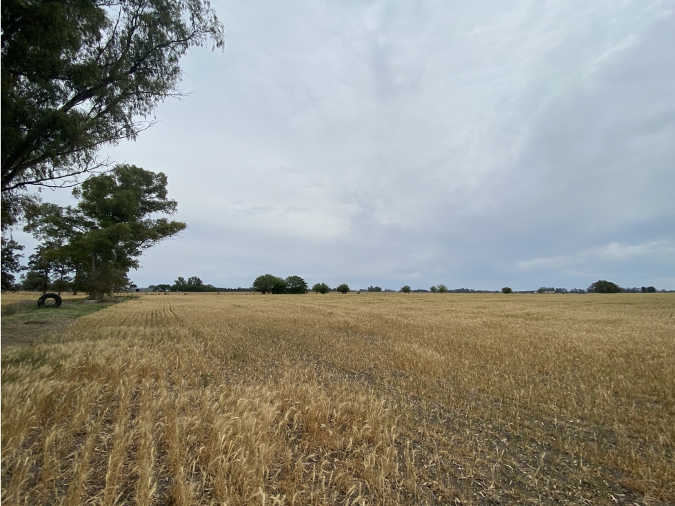 Campo en General Rodriguez - 6