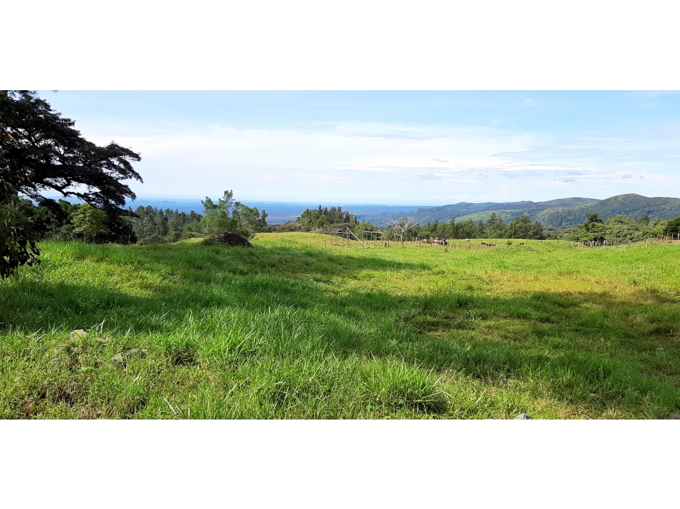 Lote en venta en La Estrella, Jaramillo, Boquete, Chiriquí
