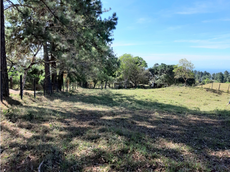 Lote en venta en La Estrella, Jaramillo, Boquete, Chiriquí — foto 2