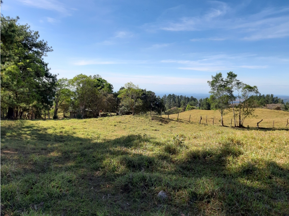Lote en venta en La Estrella, Jaramillo, Boquete, Chiriquí — foto 3