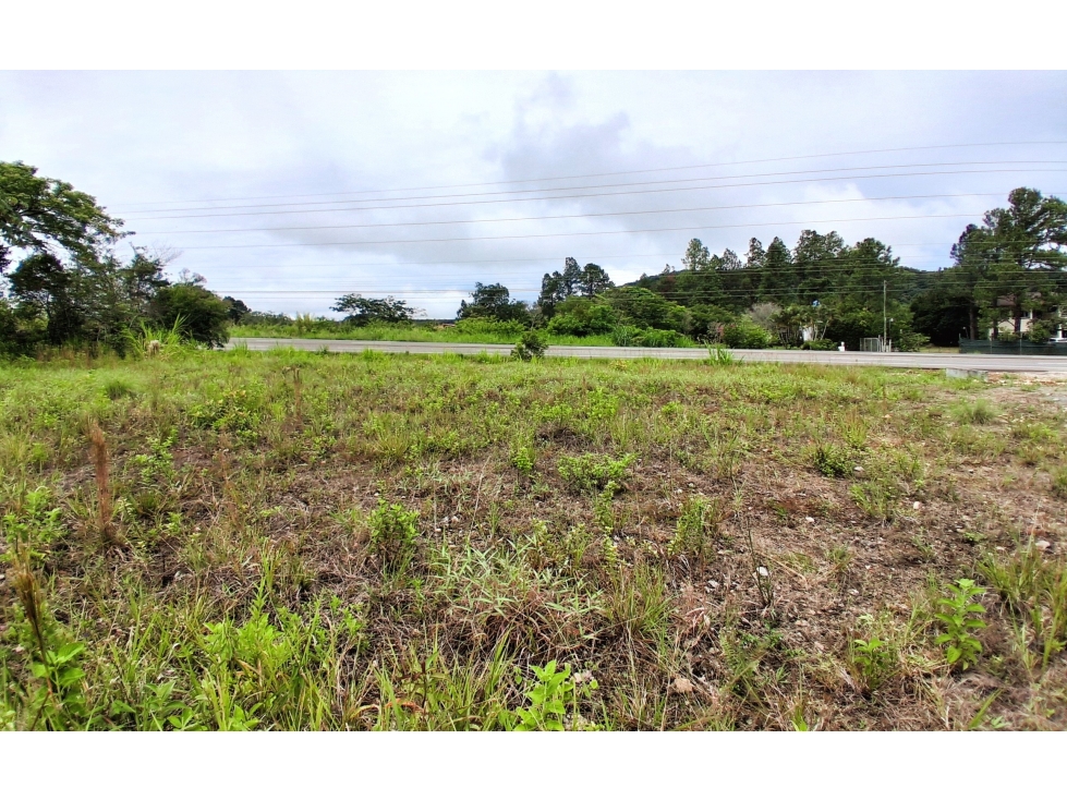 Lote en La Tranca, Alto Boquete, Boquete, Chiriquí - 3
