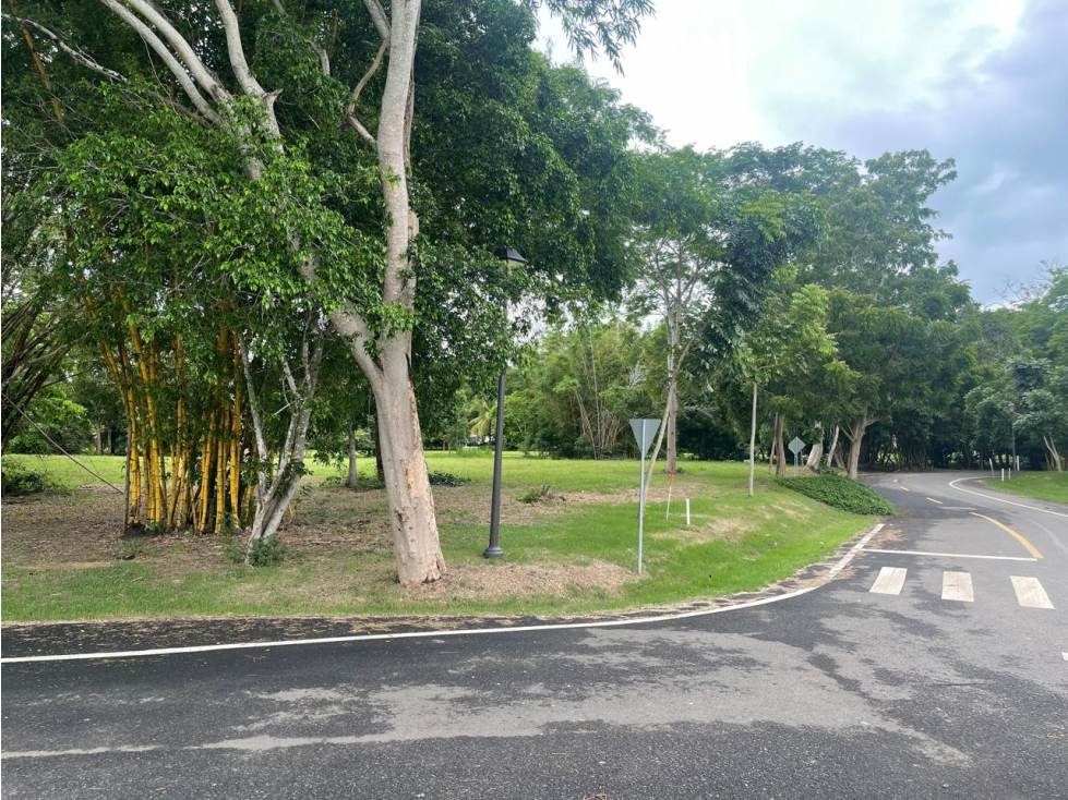 Se vende lote de terreno en Buenaventura - 4