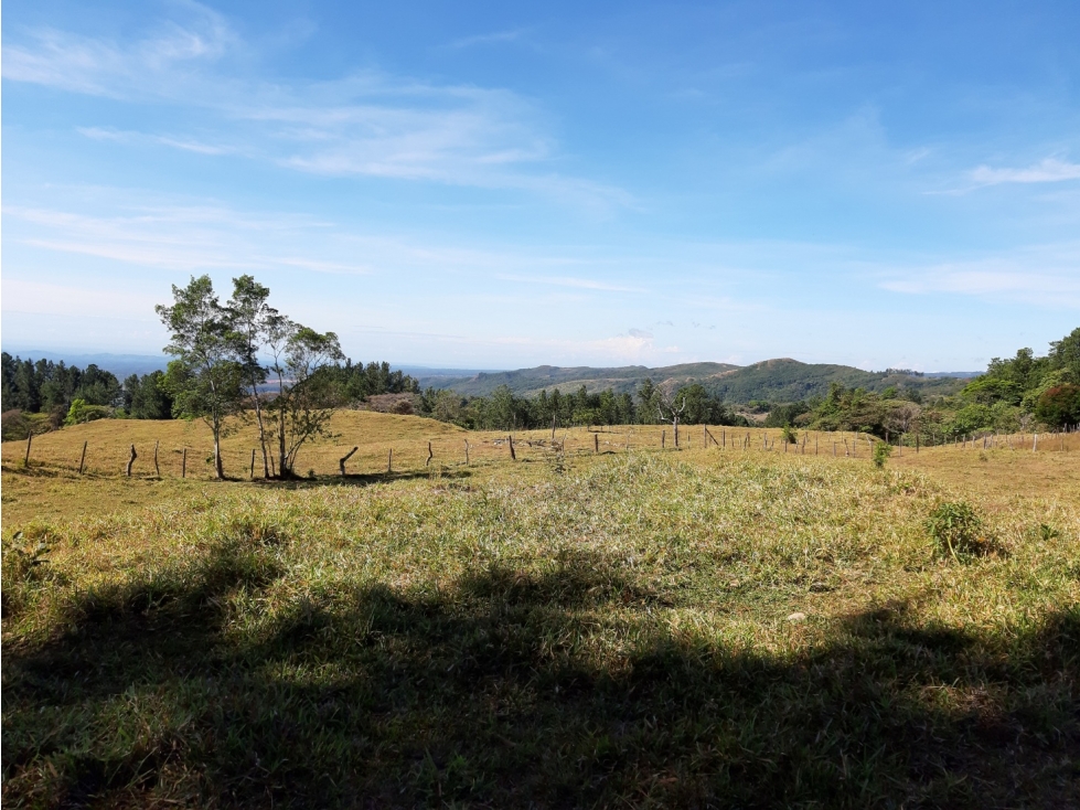 Lote en venta en La Estrella, Jaramillo, Boquete, Chiriquí — foto 4