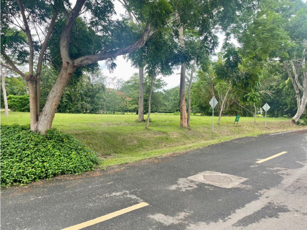 Se vende lote de terreno en Buenaventura - 5