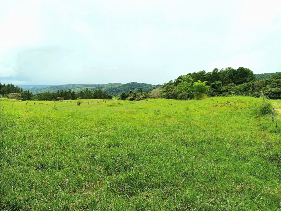Lote en venta en La Estrella, Jaramillo, Boquete, Chiriquí — foto 5