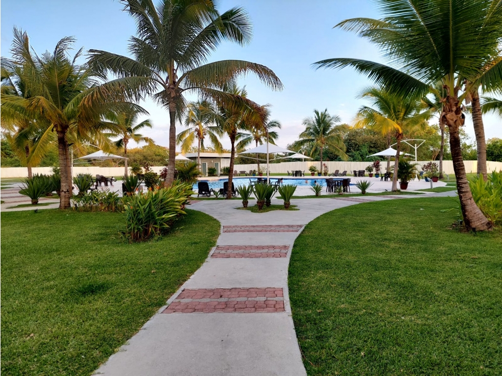 Se alquila apartamento en playa blanca resort — foto 6