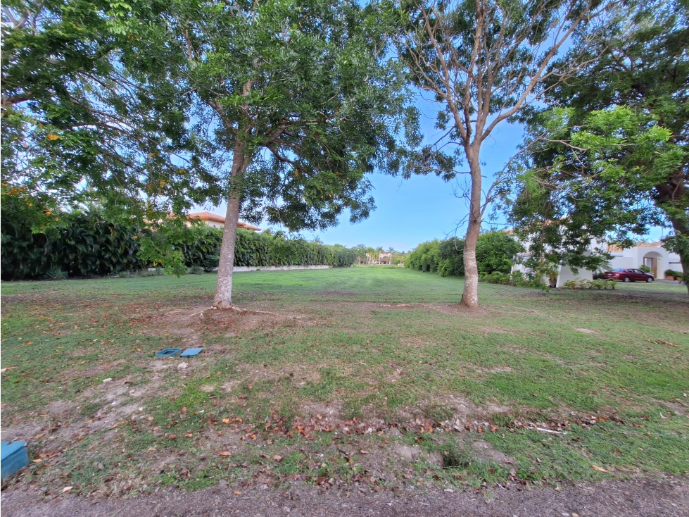 Se vende lote de terreno en Buenaventura - 6