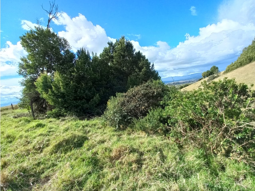 VENTA DE LOTE EN CHIVATÁ - BOYACA - 2