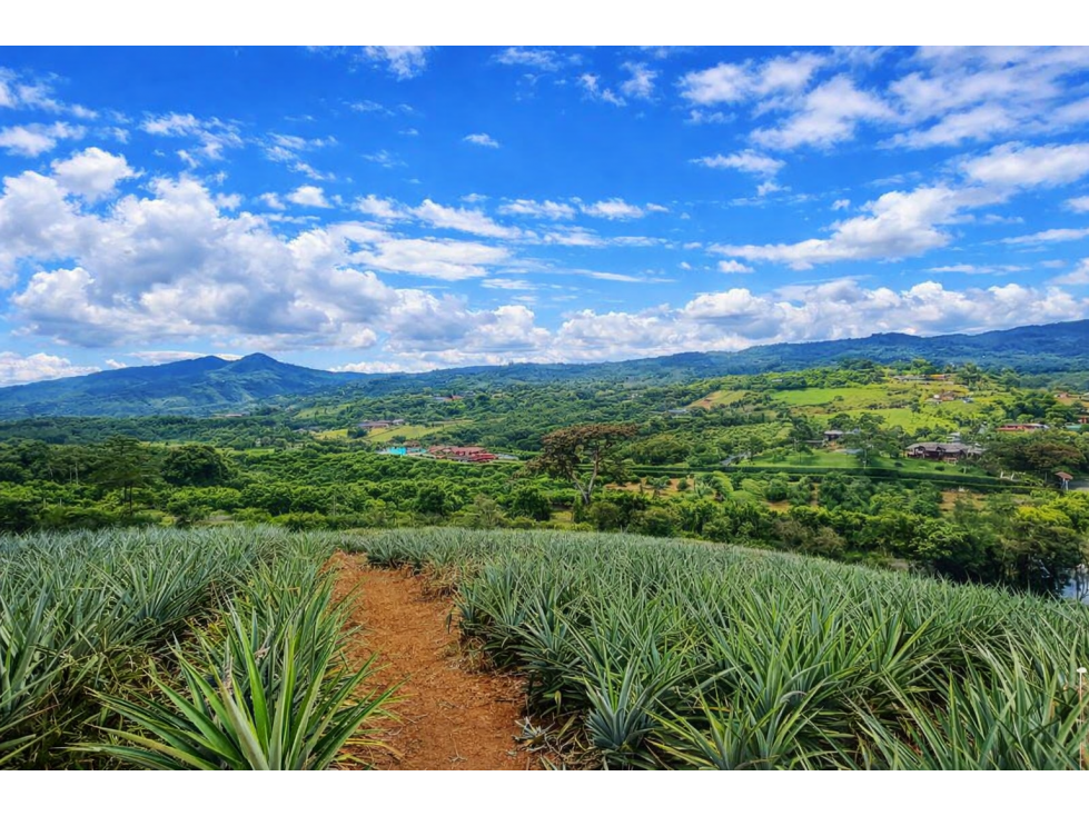 SE VENDE LOTE EN EL KM 34 VÍA CALI - QUEREMAL — foto 3