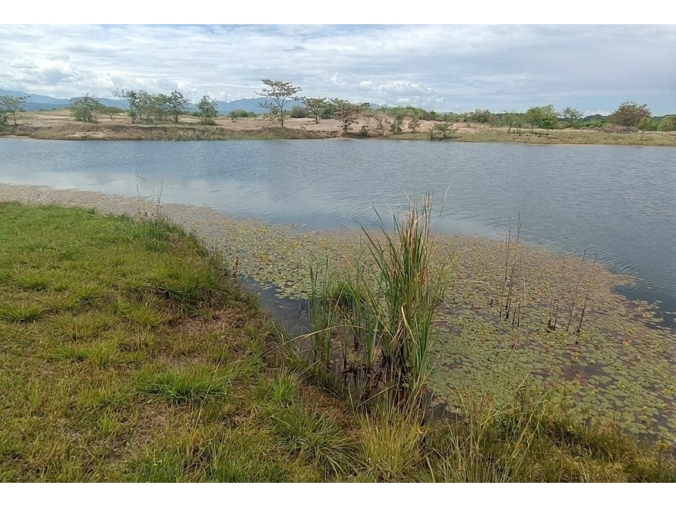 VENTA DE LOTE EN AMBORCO, PALERMO — foto 3