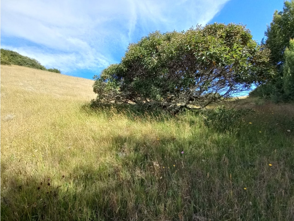 VENTA DE LOTE EN CHIVATÁ - BOYACA - 3