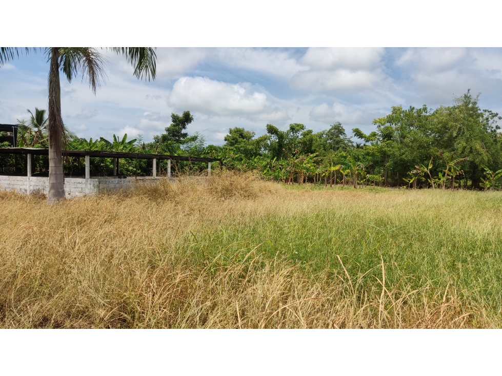 VENTA- LOTE TERRENO-GARZONES -MONTERIA — foto 6