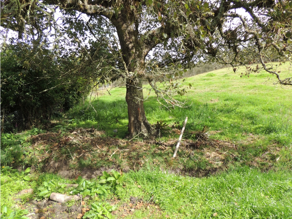 VENDO LOTE VDA.EL HATO -Via La Calera - 1
