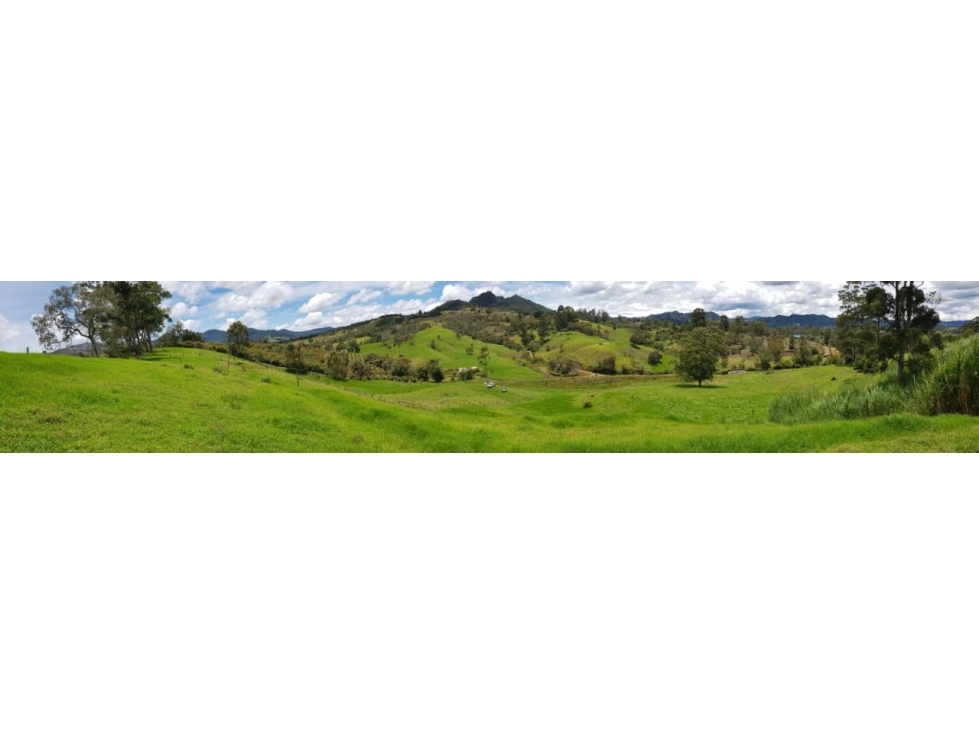 Venta lote independiente Llanogrande sector el Capiro